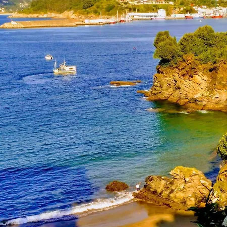 Turquesa B Viveiro