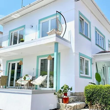 Turquesa B 비베이로