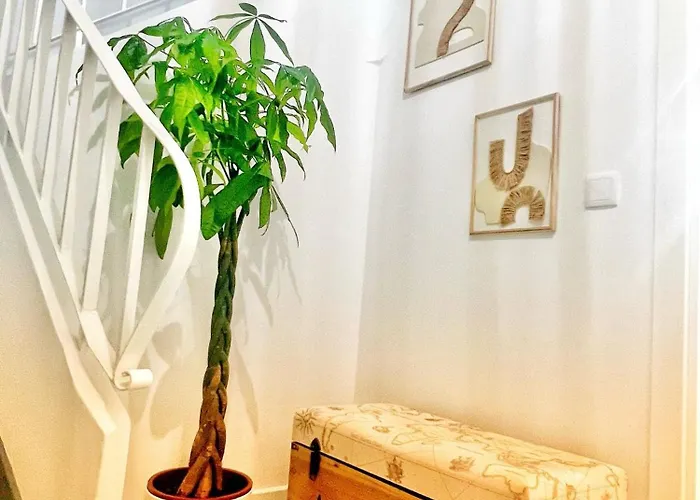 Daire Turquesa B Viveiro